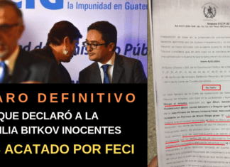 Sala de apelaciones Otorga Amparo Definitivo a favor de Igor Bitkov y Familia