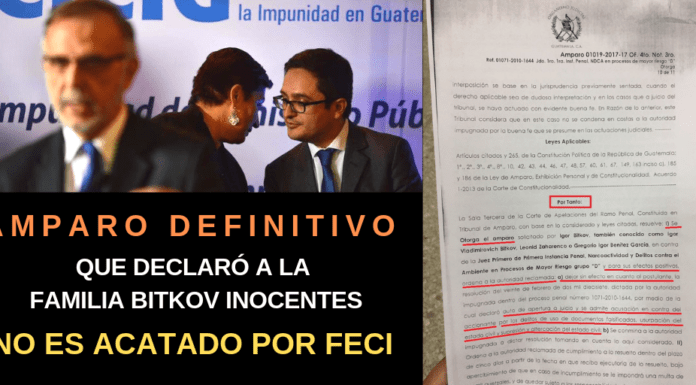 Sala de apelaciones Otorga Amparo Definitivo a favor de Igor Bitkov y Familia