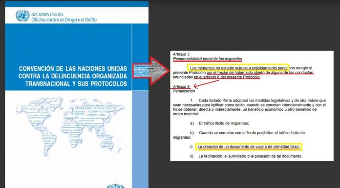 (Español) SE DEBE APLICAR LA CONVENCIÓN DE PALERMO EN EL CASO BITKOV
